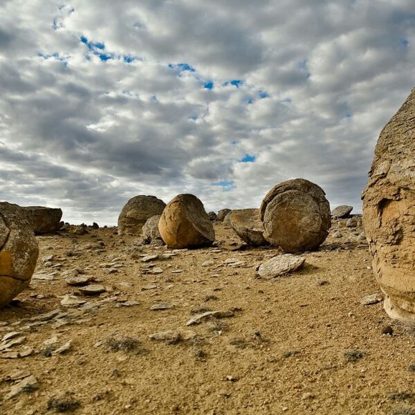 Торыш тастары