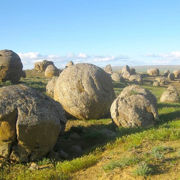 Торыш тастары